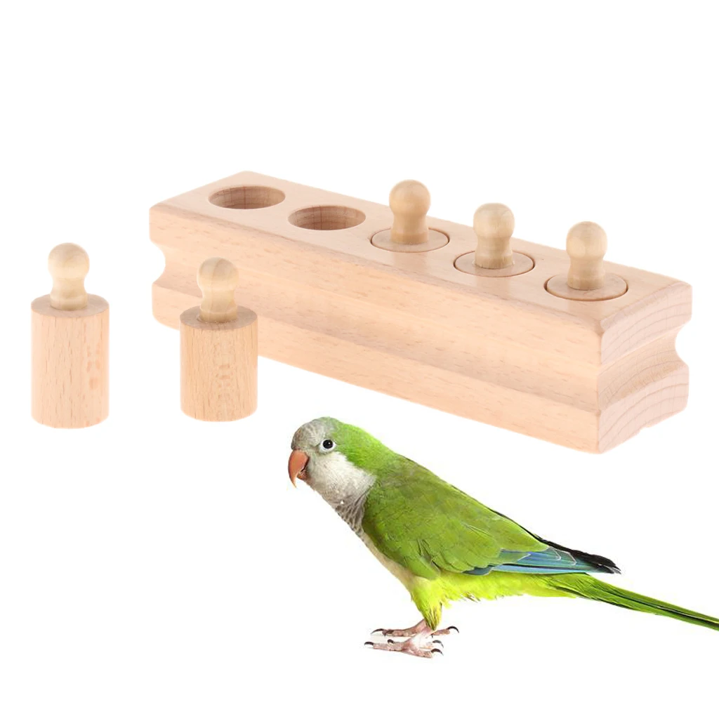 Wooden Construction Bird Toys  Development Toys for Birds