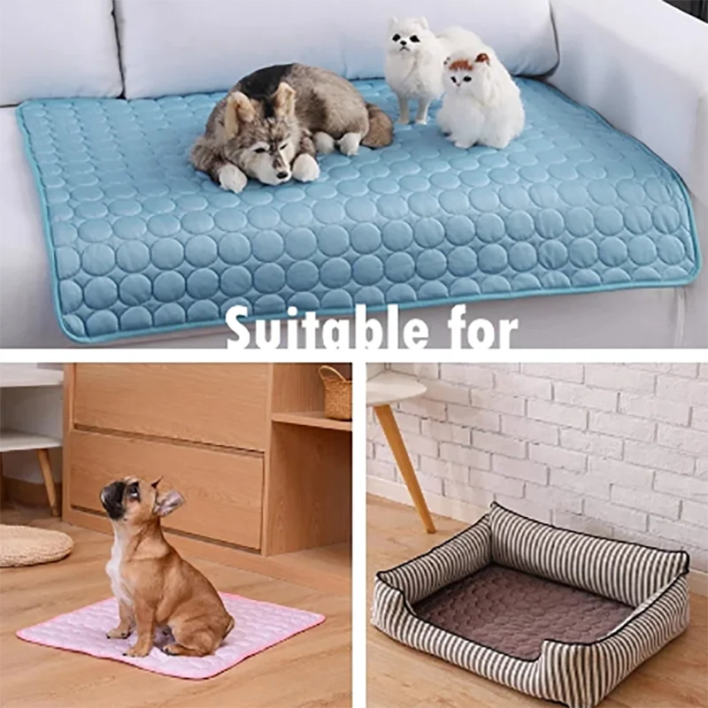 Un collage de tres camas para mascotas diferentes con una leyenda que dice Adecuado para. Cada cama para mascotas está diseñada para un tipo diferente de mascota.

En la imagen superior, hay una cama de felpa para mascotas con una funda azul que tiene un lobo de peluche sobre ella.