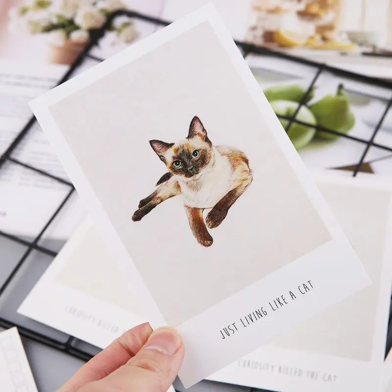 30 folhas para pinturas de gatos cartão