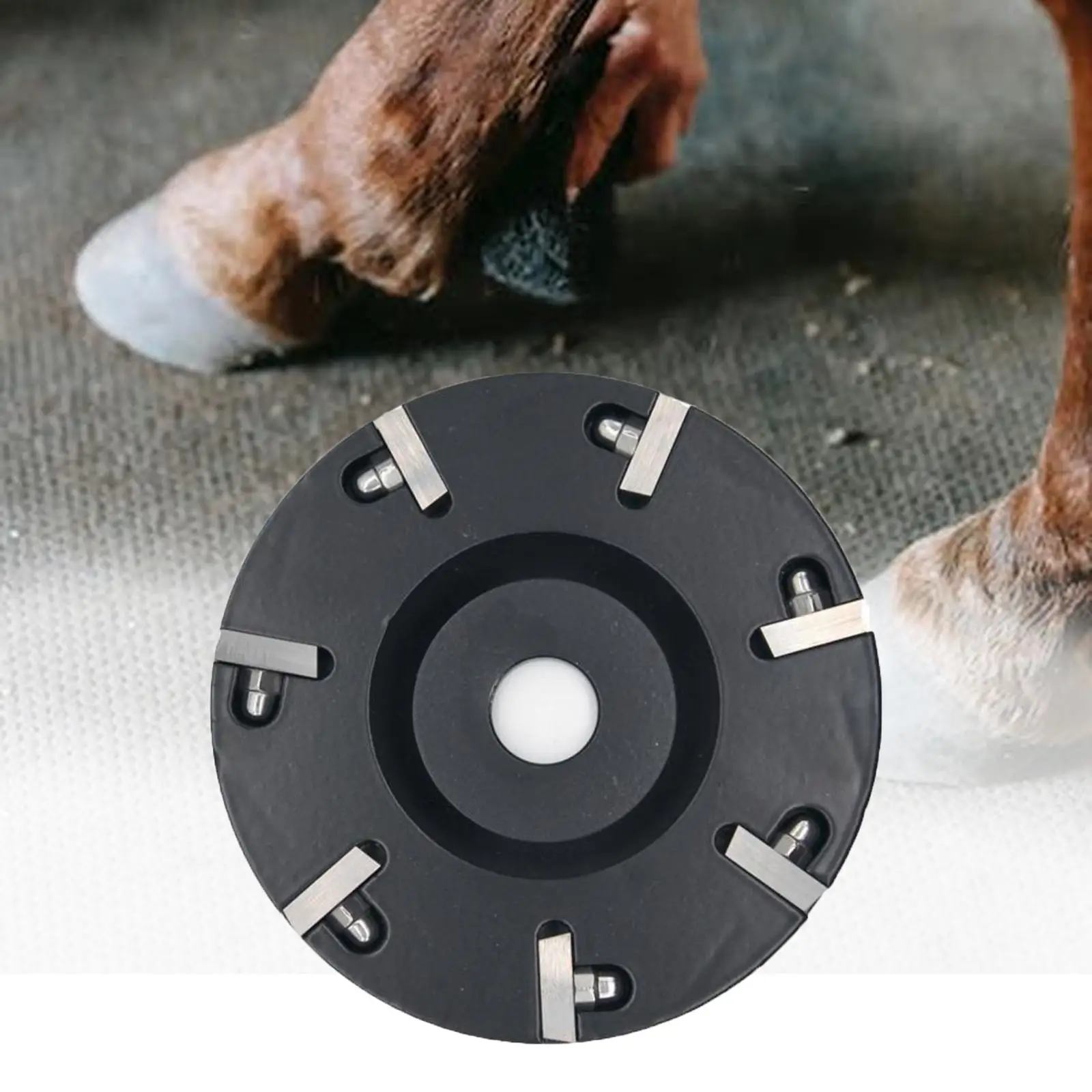 Hoof Trimming Disc Professional Farms High Strength for Cattles Horses Sheep