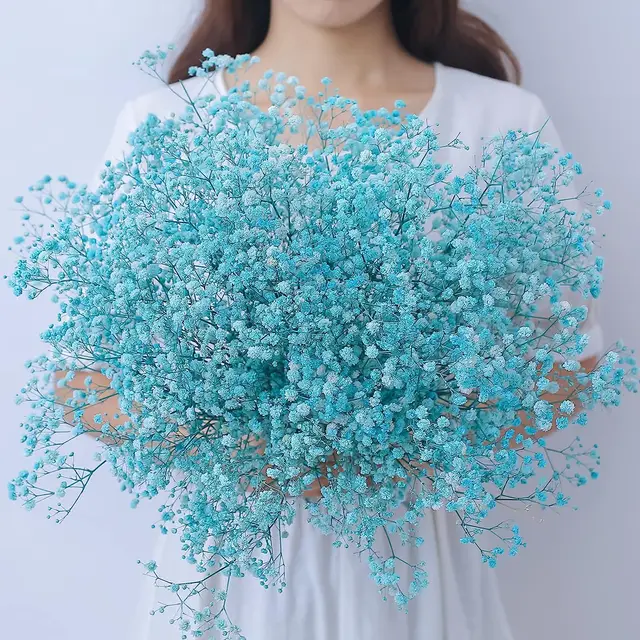 Stunning Pink Dried Baby's Breath Bouquet - Over 2000 Flowers - Perfect for  Home Decor, Weddings, and DIY Floral Projects - AliExpress