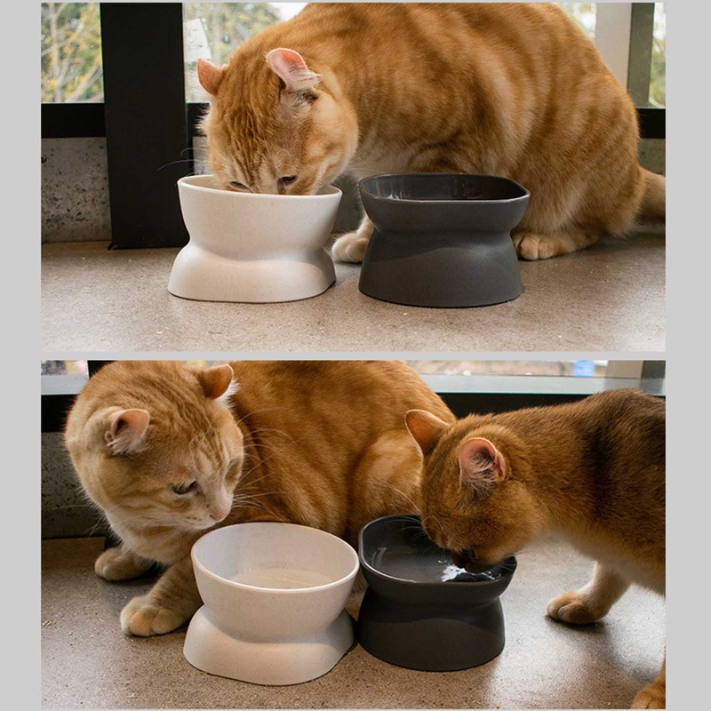 Title 1, Elevated Non-Slip Pet Bowls For Cats Water Bow...