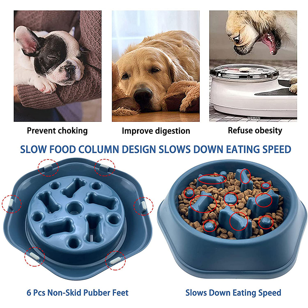 Title 3, Pet Dog Bowl Dog Slow Feeder Bowl Puppy Cat Slo...