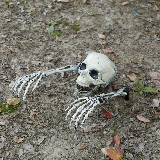SCOBLA Dekoobjekt Realistische Skelett Pfähle Halloween Dekorationen für  Rasen (1 St., Head:13.5cm*18.5cm/Hand:9.5cm*37cm), Pfähle Garten Halloween