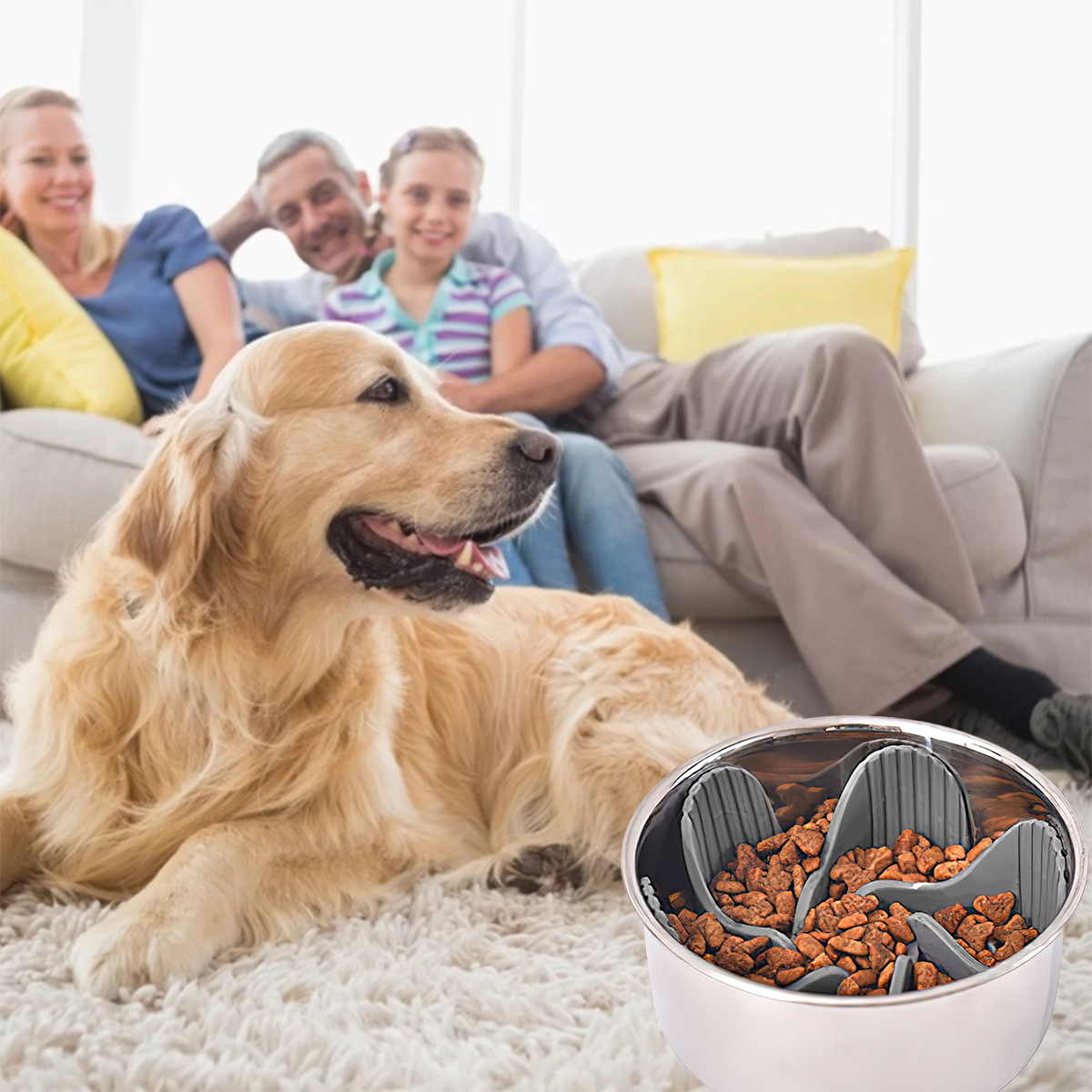 Slow Feeder Silicone Inserted In Dogs Bowl