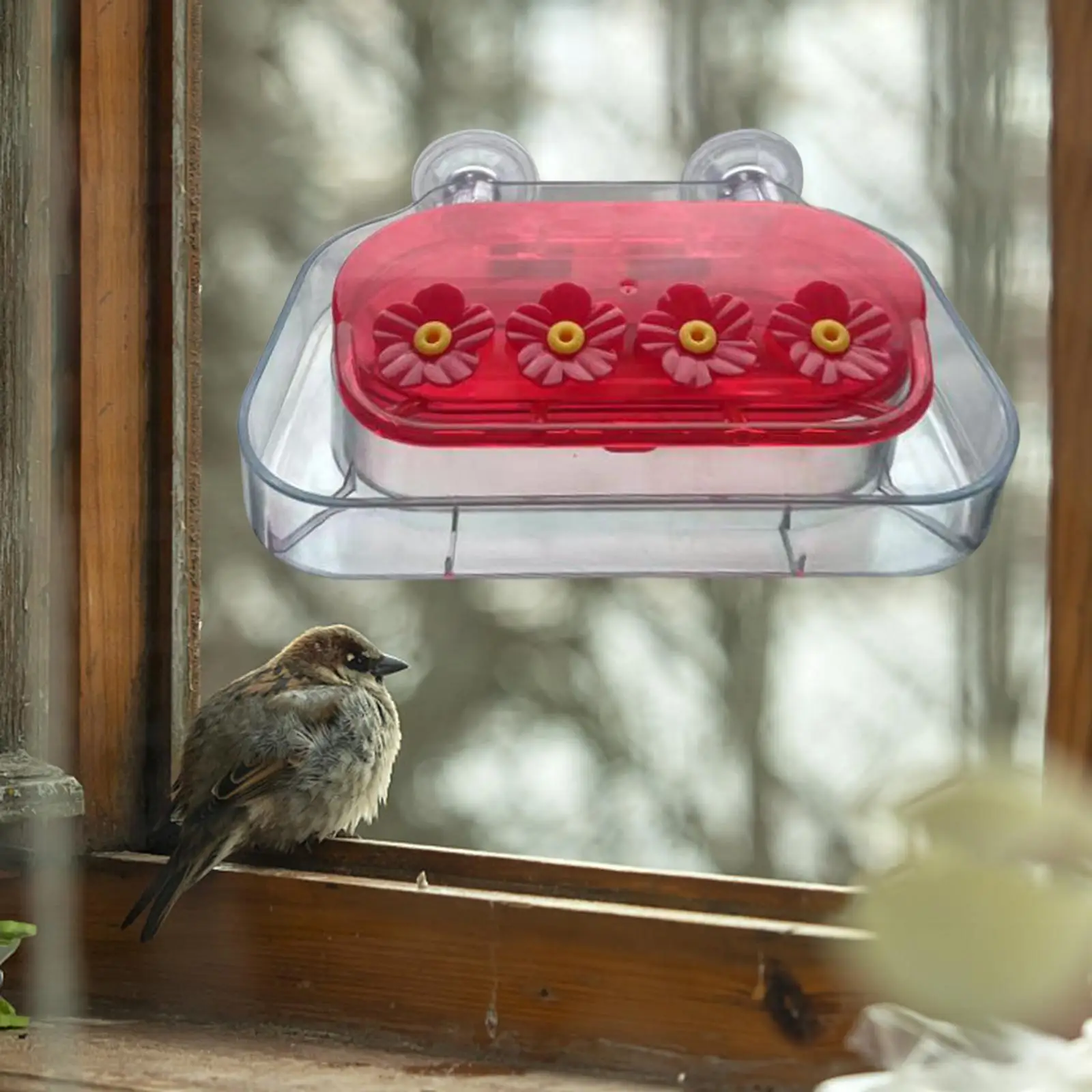 Bird Feeder Cage Accessories Feeding Box Food Dispenser Window Hummingbird Feeders Suction Cups for Backyard Watch View Garden