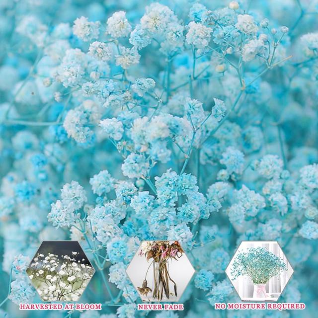 Stunning Pink Dried Baby's Breath Bouquet - Over 2000 Flowers - Perfect for  Home Decor, Weddings, and DIY Floral Projects - AliExpress