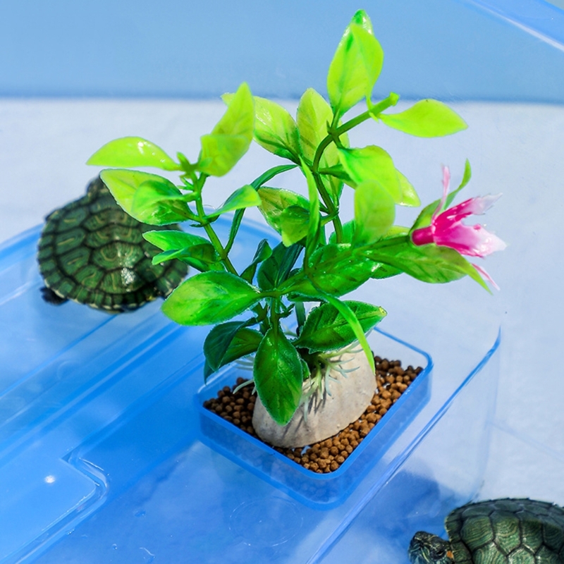 Title 5, Reptiles Terrariums Terrapins Habitat with Bask...