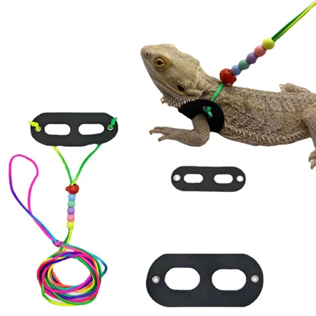 Adjustable Soft PU Bearded Dragon Lizards Leash Harness Bearded Dragon with  Straps Photo Props Rainbow-Cord Dropshipping - AliExpress