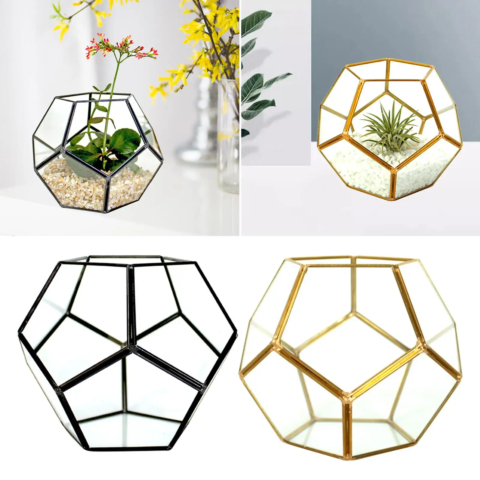 Geometric Terrarium, Planter Shelves, Bonsai Container for , Fern Air Plants Tabletop Decor Gift