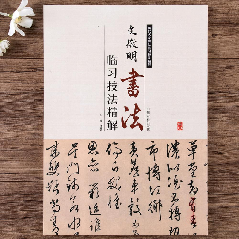 Chinesisches Kalligraphie-Kopierbuch Ouyang Xun Zhao Mengfu Running Regular Script Copy Book Adult Student Calligraphy Copying Tutorial – Detail 16