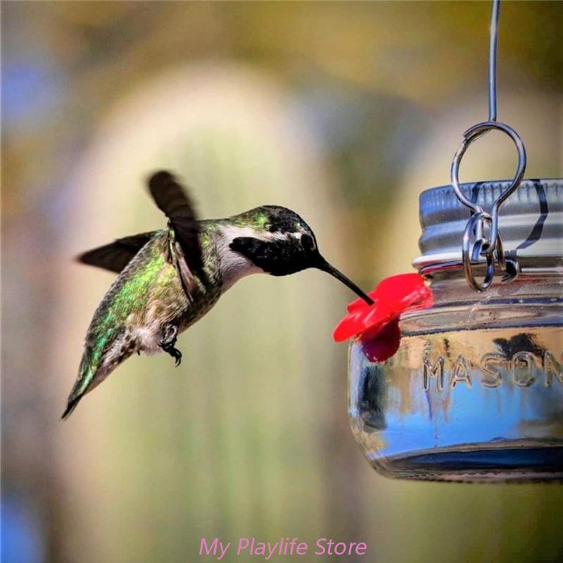 Title 10, Mangeoire pour oiseaux en plastique pour l