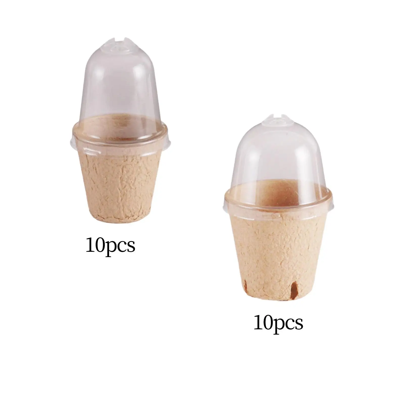 10 Pieces Planter Growing Pot Planting Containers Cups Gardening Pot for Home