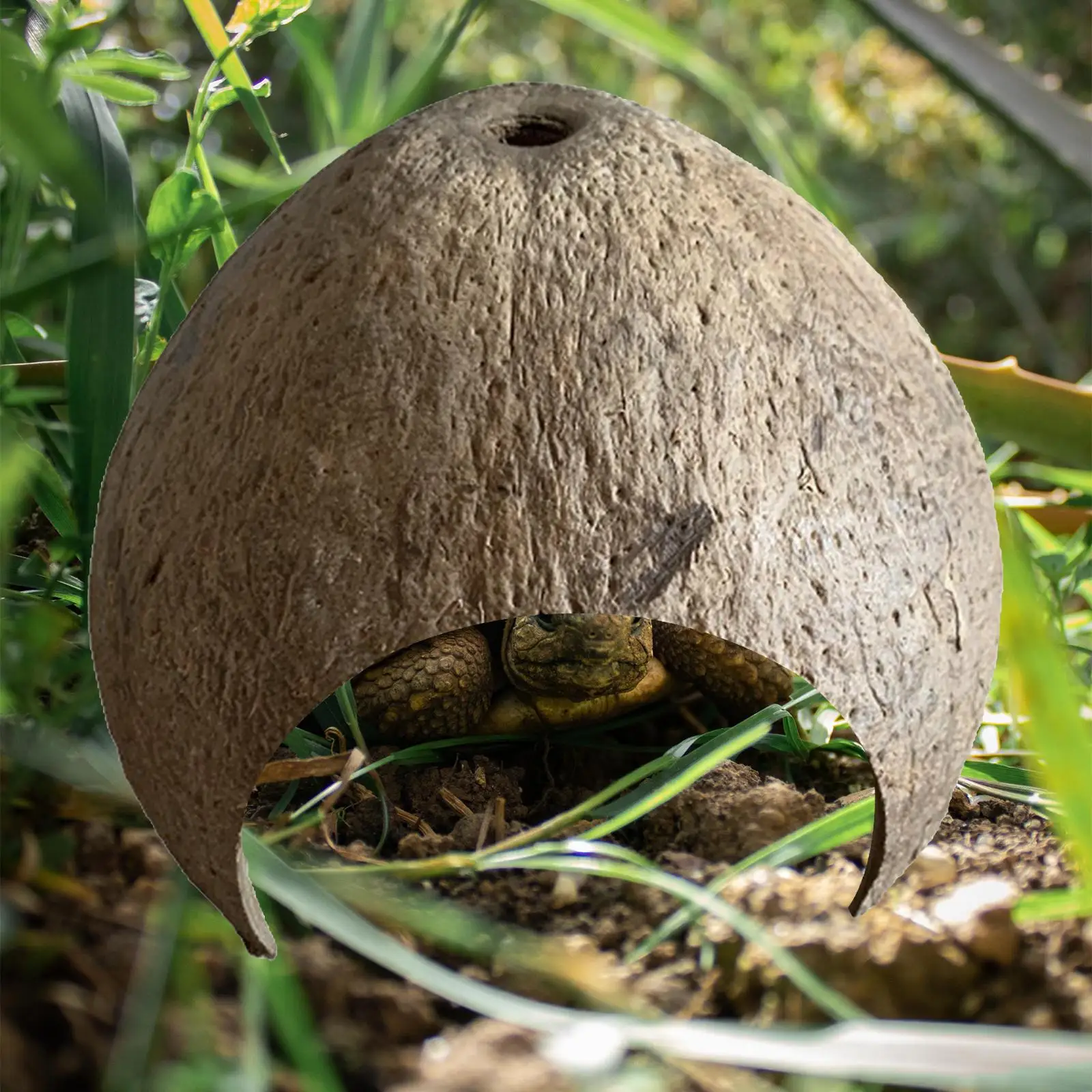 Coconut Shells Hut Reptile Hideouts Shelter Habitat Cave for Aquarium Spider Decor