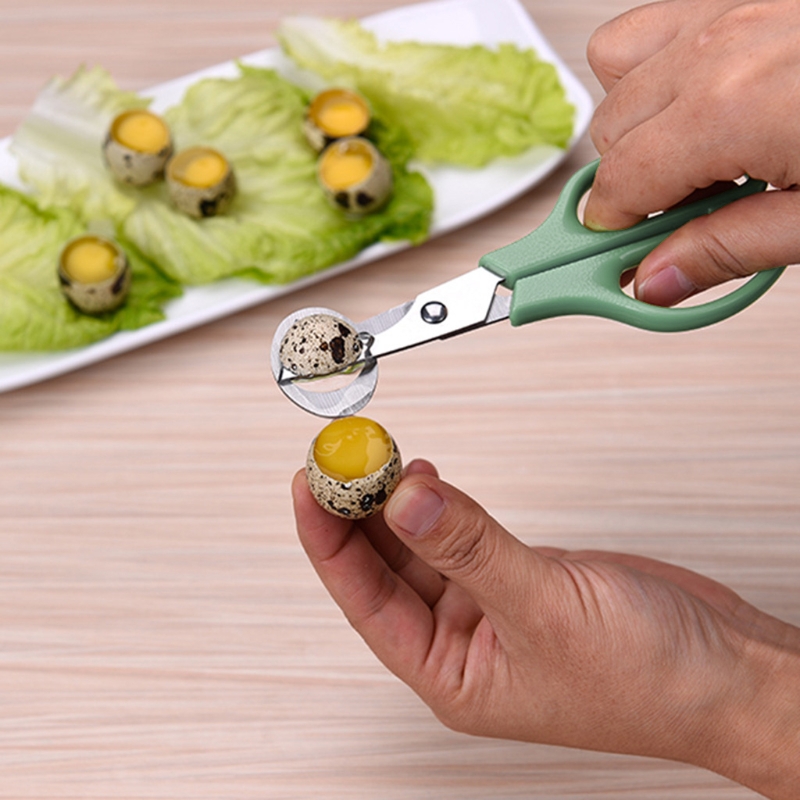 Description Picture 4 of item10pcs Quail Eggs Scissors, Stainless Steel Pigeon Quail Egg Cutter, Pigeon Bird Quail Egg Opener Kitchen Egg Shears Tool