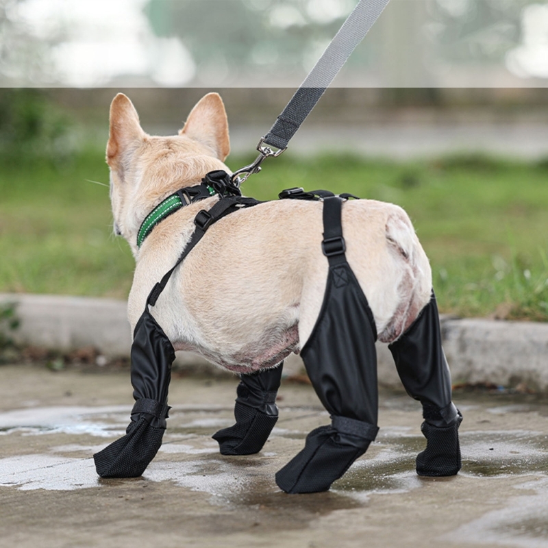 Title 3, Bota de neve para cachorro, borracha antiderrap...