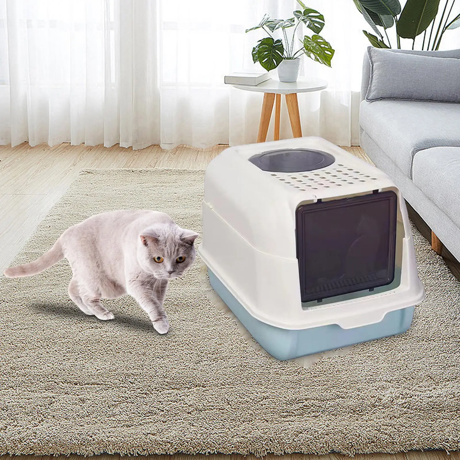 Enclosed Cat Litter Box Kitten Litter Box Covered Cat Litter Tray Easy to Clean for Travel