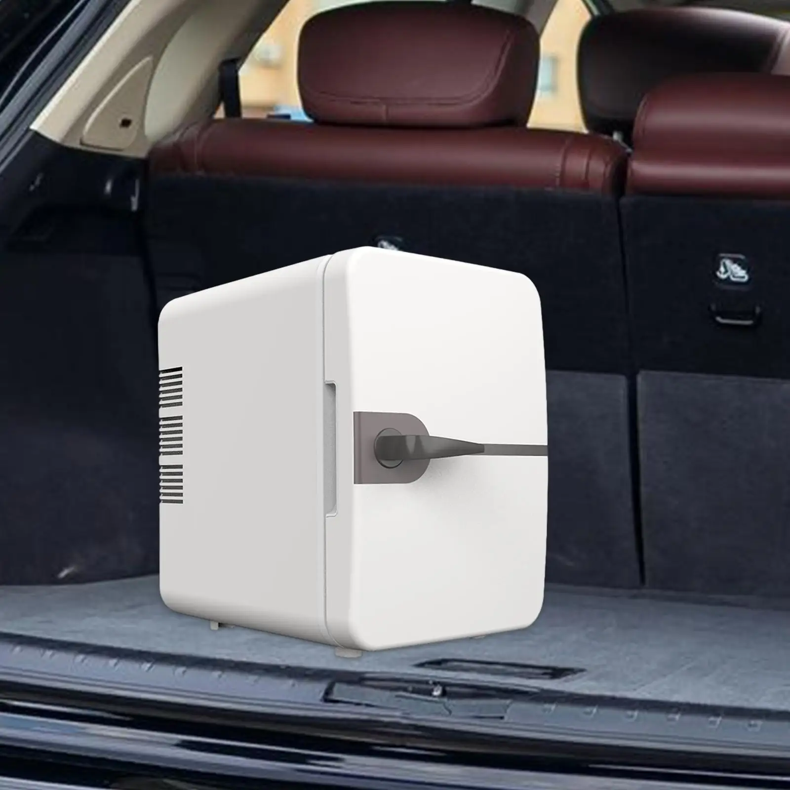 Mini Fridge Portable Refrigerator 110V DC12V 30W with Handle Cooler and Warmer 4 Liters for Rvs Car Truck Cosmetics Beverage