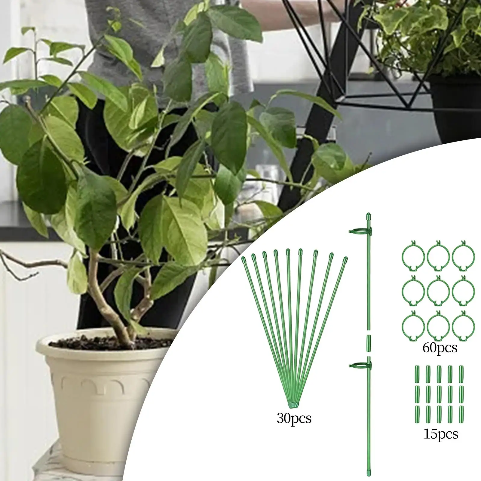 30 Pieces Flower Pot Climbing Trellis Indoor Plants Green Plant Stake for Outdoor Orchard Greenhouse Flower Pot Balcony