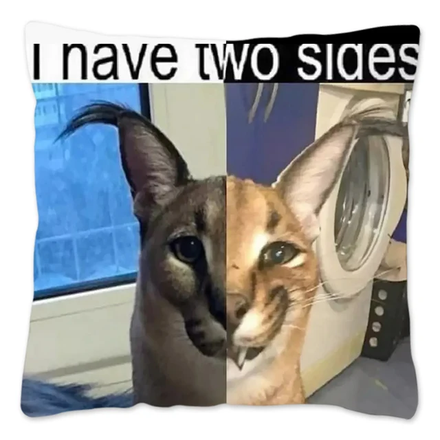 Compre Floppa bonito meme capa de almofada 40x40 decoração para casa  impressão 3d engraçado caracal gato lance travesseiro caso para sala estar  dupla face