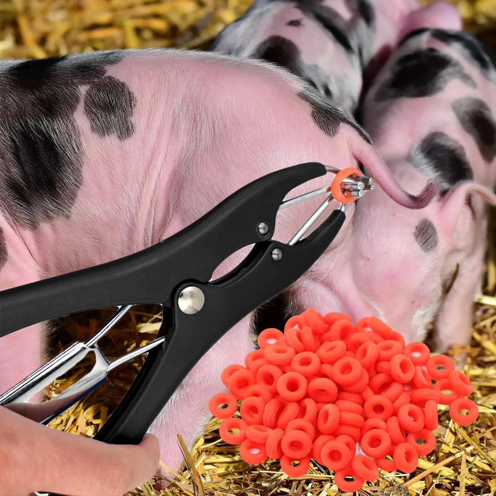 Castration Plier Livestock Supplies   Cutting Clamp for Sheep Goat