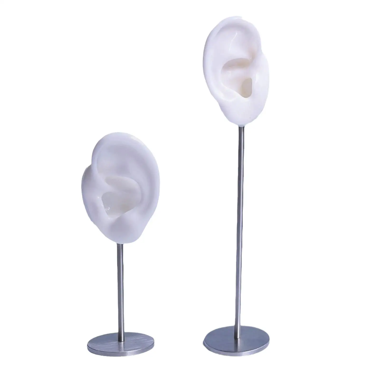 Earring Display Holder Ear Model Stud Holder Stable Silicone Photography Display Props Earring Holder Durable Tabletop Decor