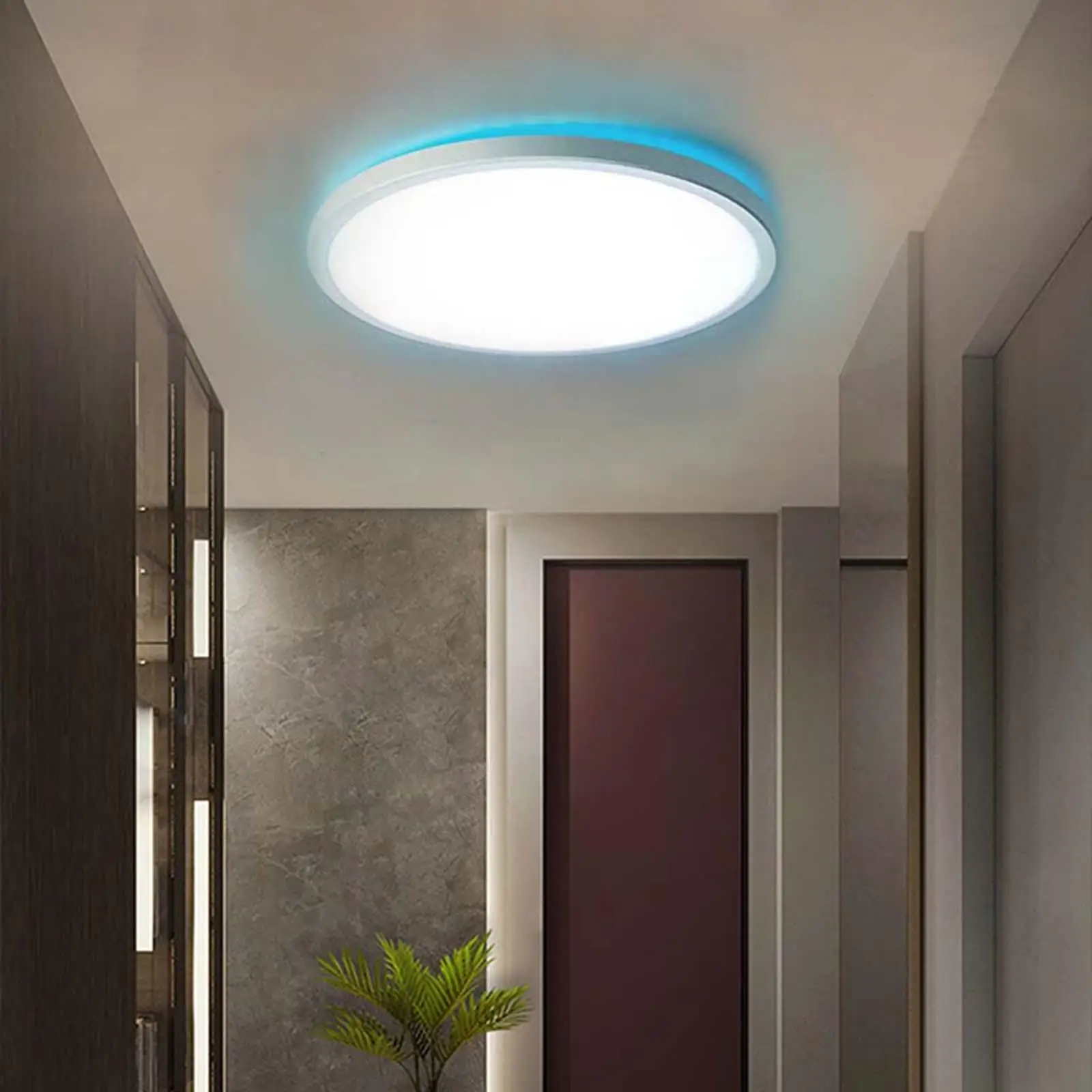 Modern Ceiling Light Energy Saving Ceiling Lamp for Living Room Cafe Decoration Kitchen