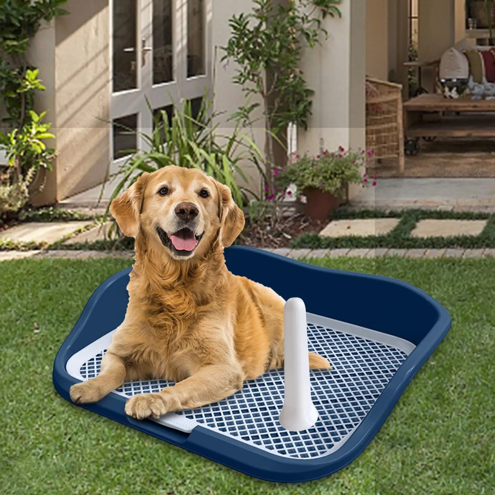 Large Dog Toilet Toilet with Screen Anti  Small Dog Urinal with Fence for Chinchilla Toilet Indoor