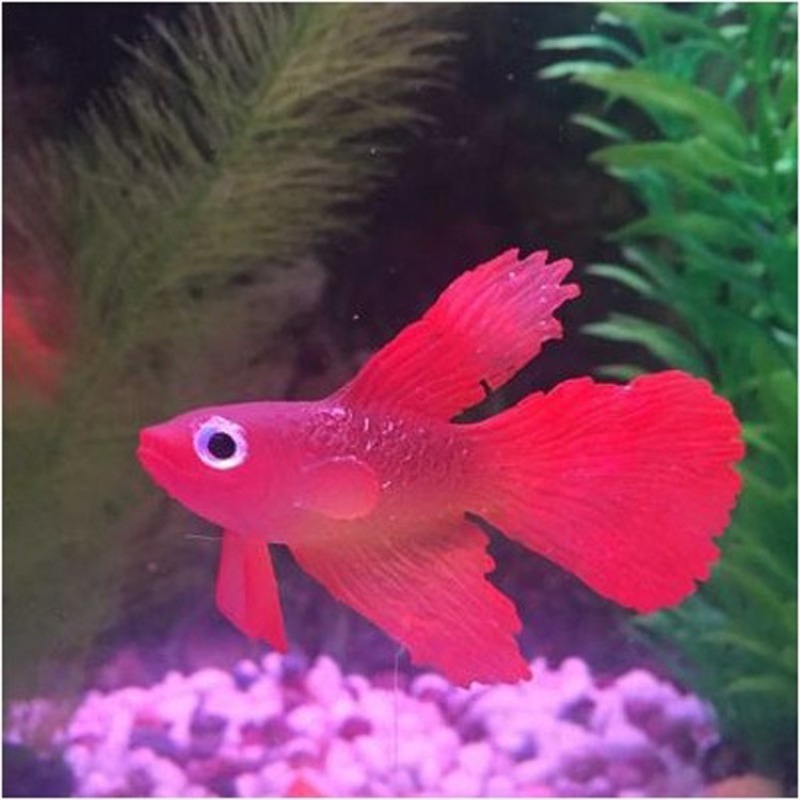 1PC Künstliche Aquarium Dekoration Leuchtende Wirkung Goldfisch Aquarium Ornament Dekor – Detail 6