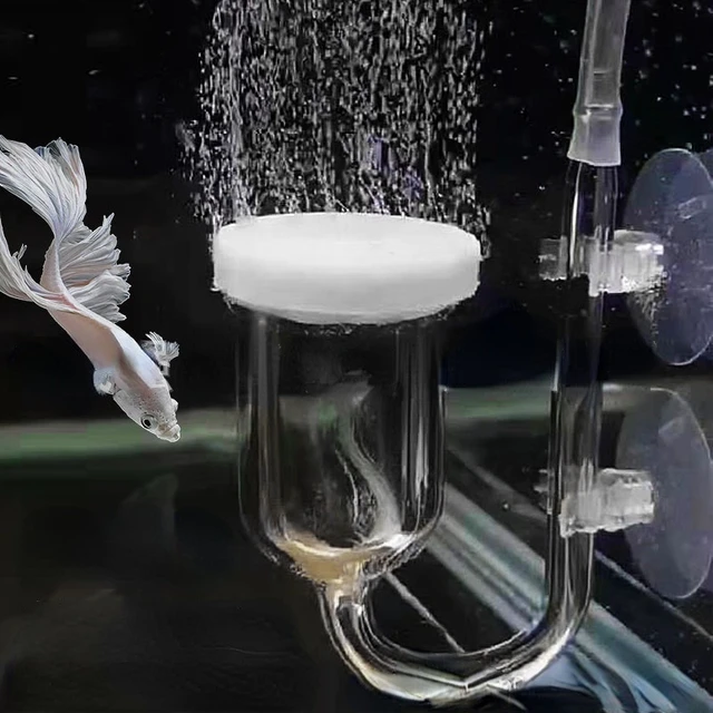 Atomizador difusor de CO2 de vidrio para acuario con válvula de retención  de tubo en U Versión Premium