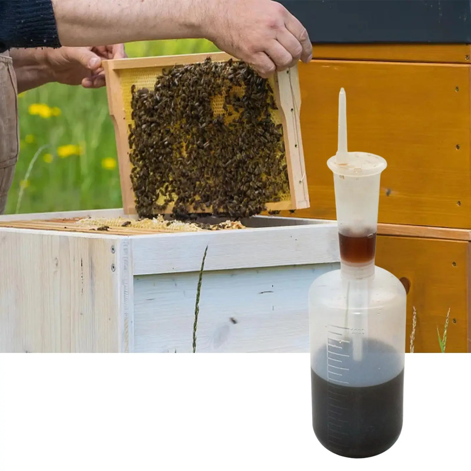 Oxalic Acid Dosage Syringe for Beekeeping Durable White Oxalic Acid Dispenser