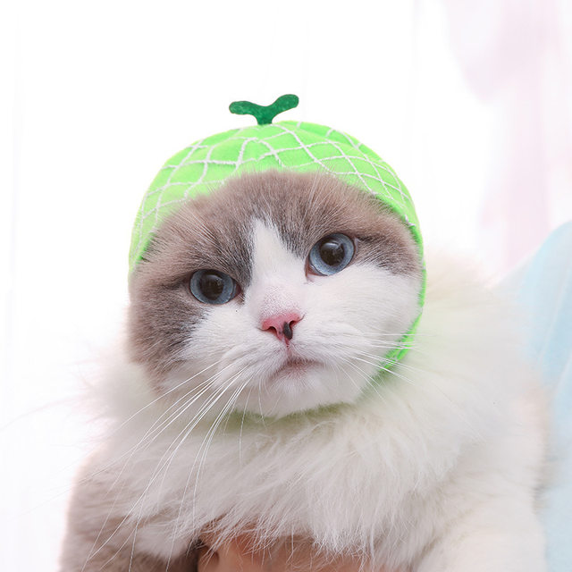 Cat Headgear Cute Pet Dog Cat Caps Rabbit Ears Hats For Cats Kids Bunny  Cosplay Props Bunny Ears Pet Headdress Cat Accessories - AliExpress