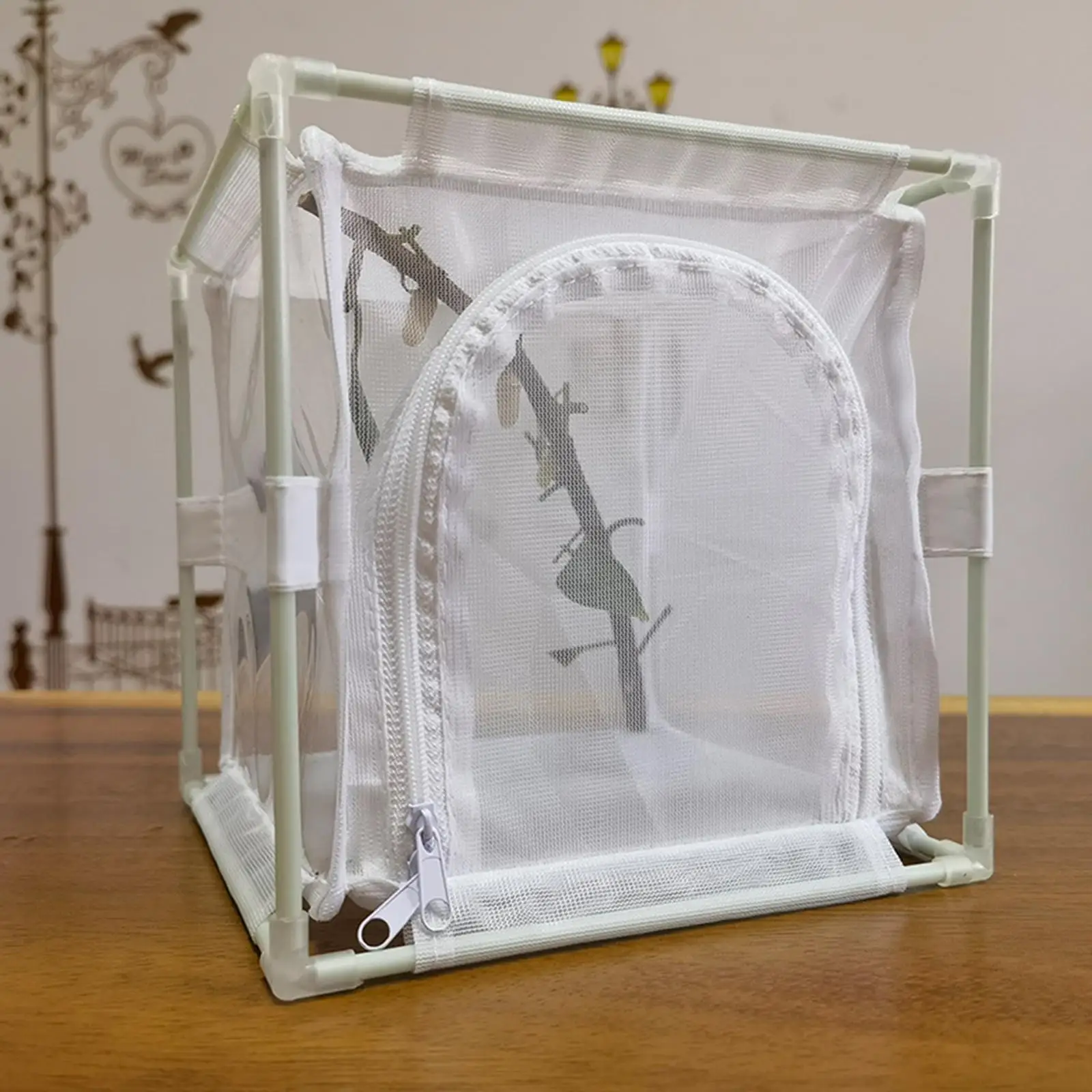 Feeding Net Freestanding Reusable Multi Use Foldable Observation Cage Butterfly