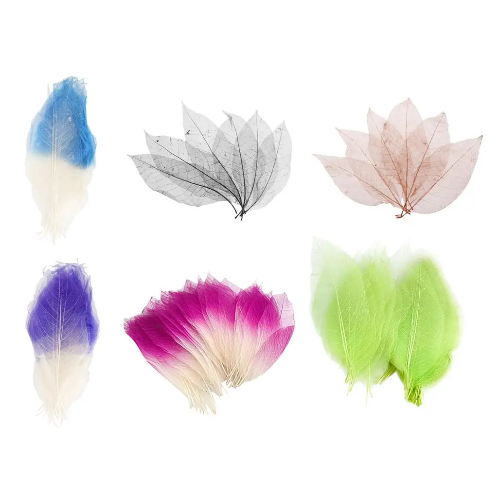 300x Mixed  Catbrier Skeleton Leaves for Scrapbooking crafts
