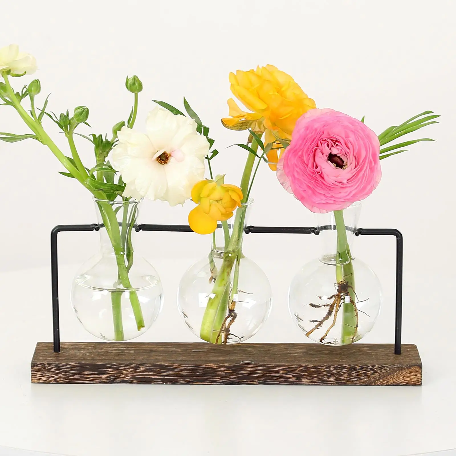 Creative Glass Bottle Hydroponic Plant Rack Transparent Vase Wooden Decor