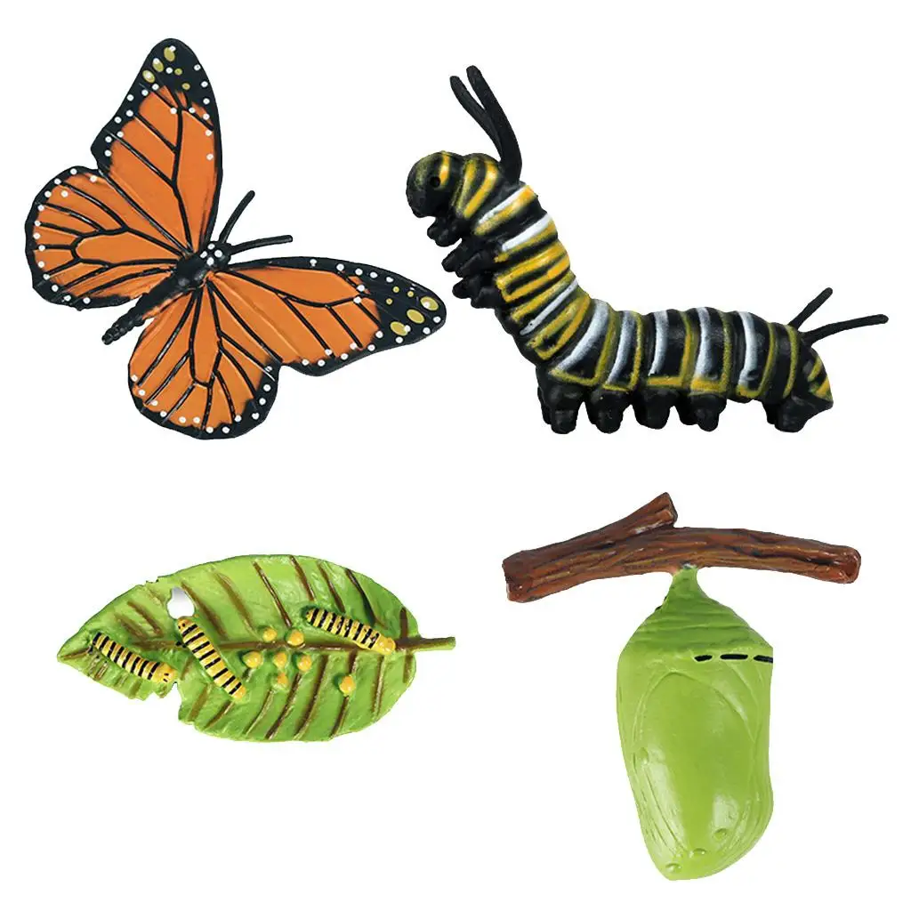 Simulation Life Cycle Figurine of Butterfly Growth Cycle Insect Animals Action Figures Educational Biology Science Toy