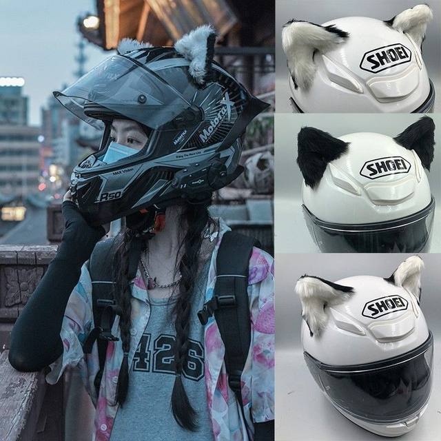 Amazon.com: Full Face Motorcycle Street Helmet Cat Helmet