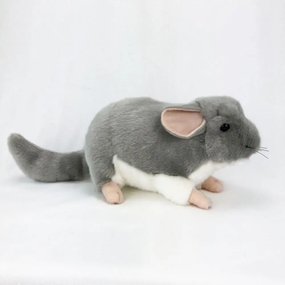 Из чего и как можно сделать игрушки для крысы | О животных. | Дзен