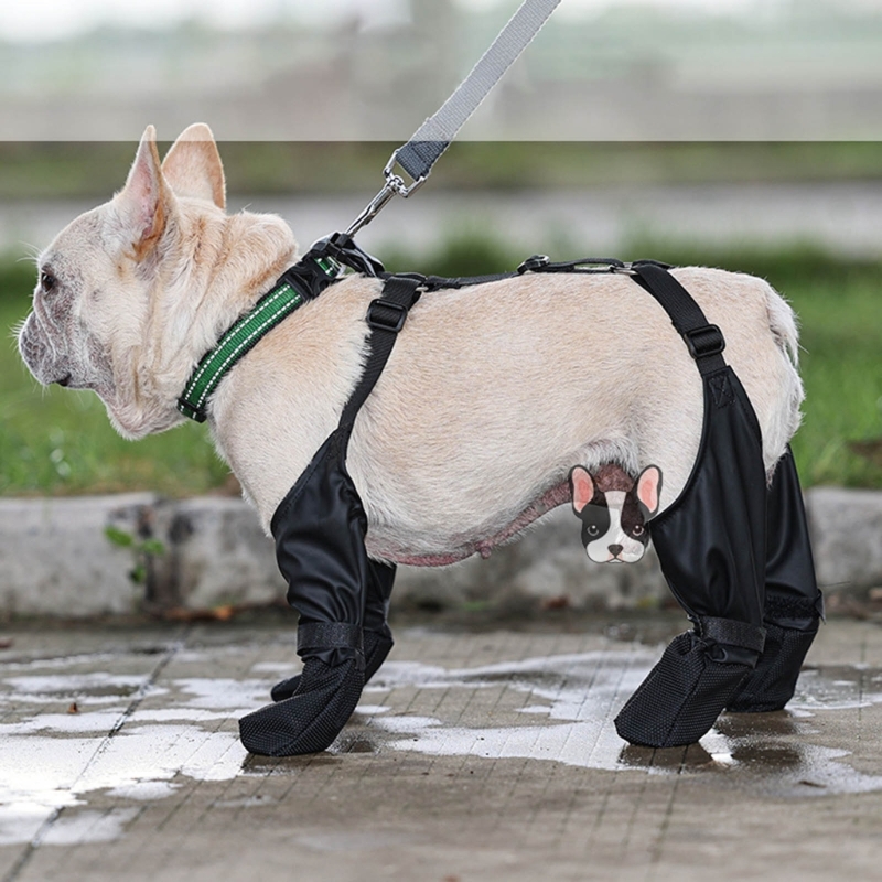 Title 3, Bottines de neige antidérapantes pour animaux d...