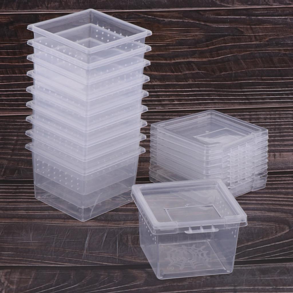10pcs Clear Plastic Reptile Spider Lizard Scorpion Beetle Insect Breathable Breeding Feeding Box Terrariums Container