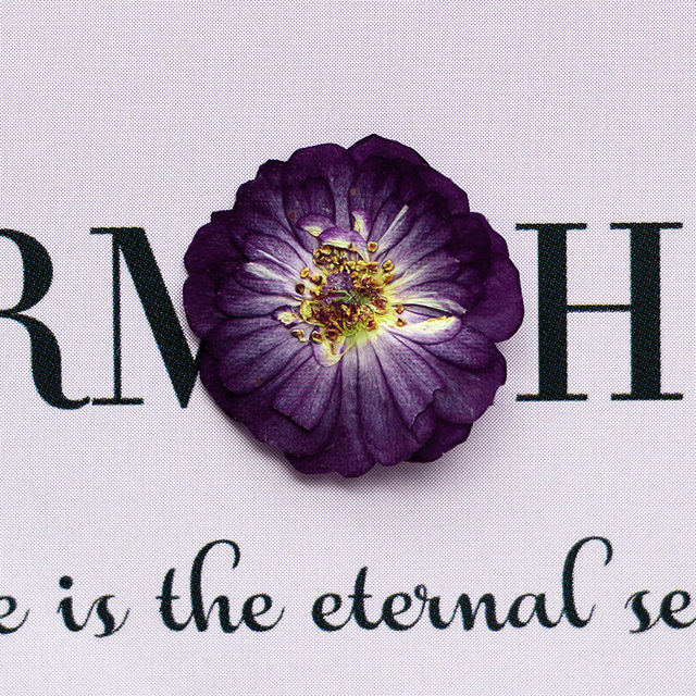 120 Fiori Secchi Gypsophila Rosa Con Pinzette - Per Decorazioni Fai Da Te, Manicure E Crafts - Foto 2