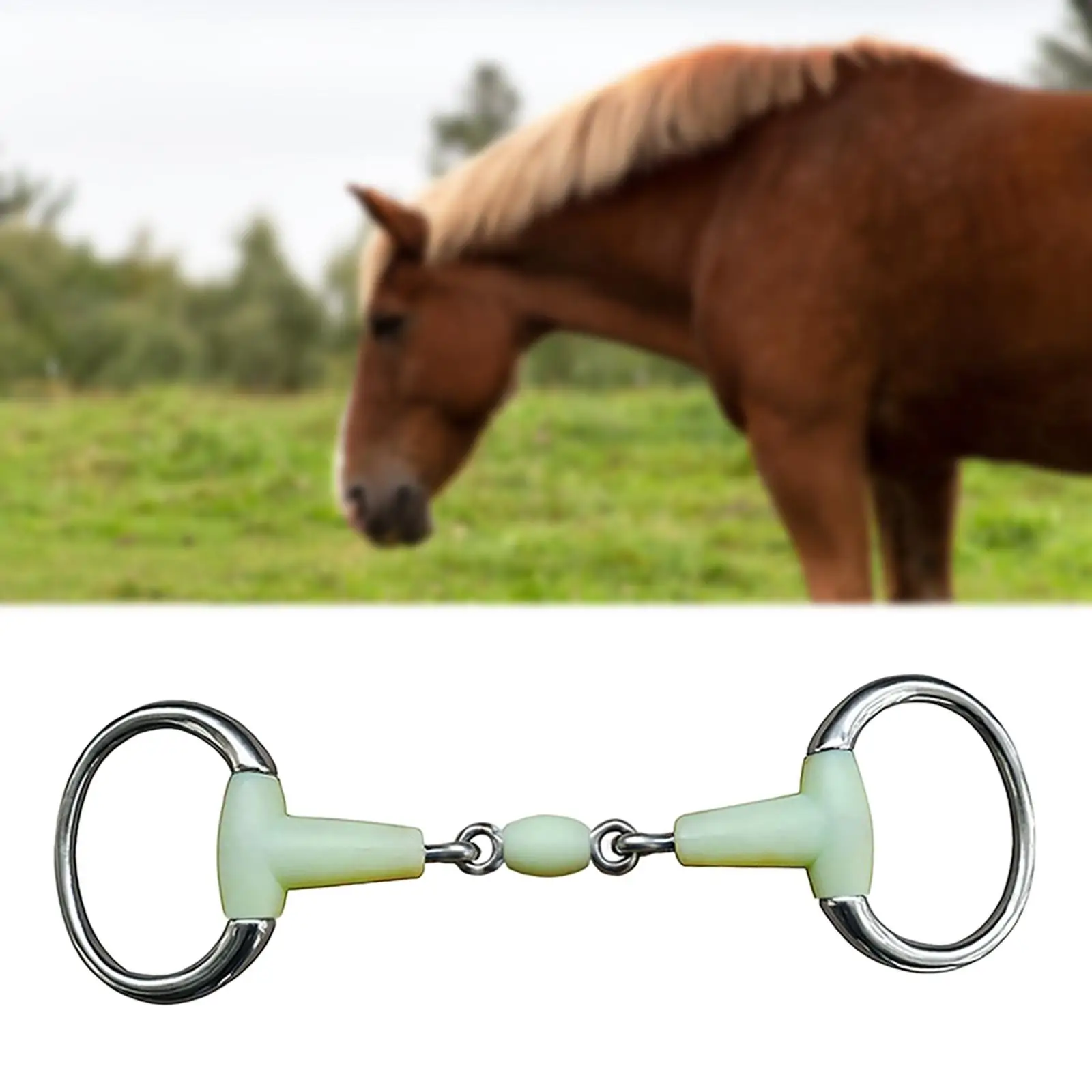Horse Bit Mouth, Horse Training, Stainless Steel Wear Resistant Heavy Duty for Outdoor Horse Riding Gear