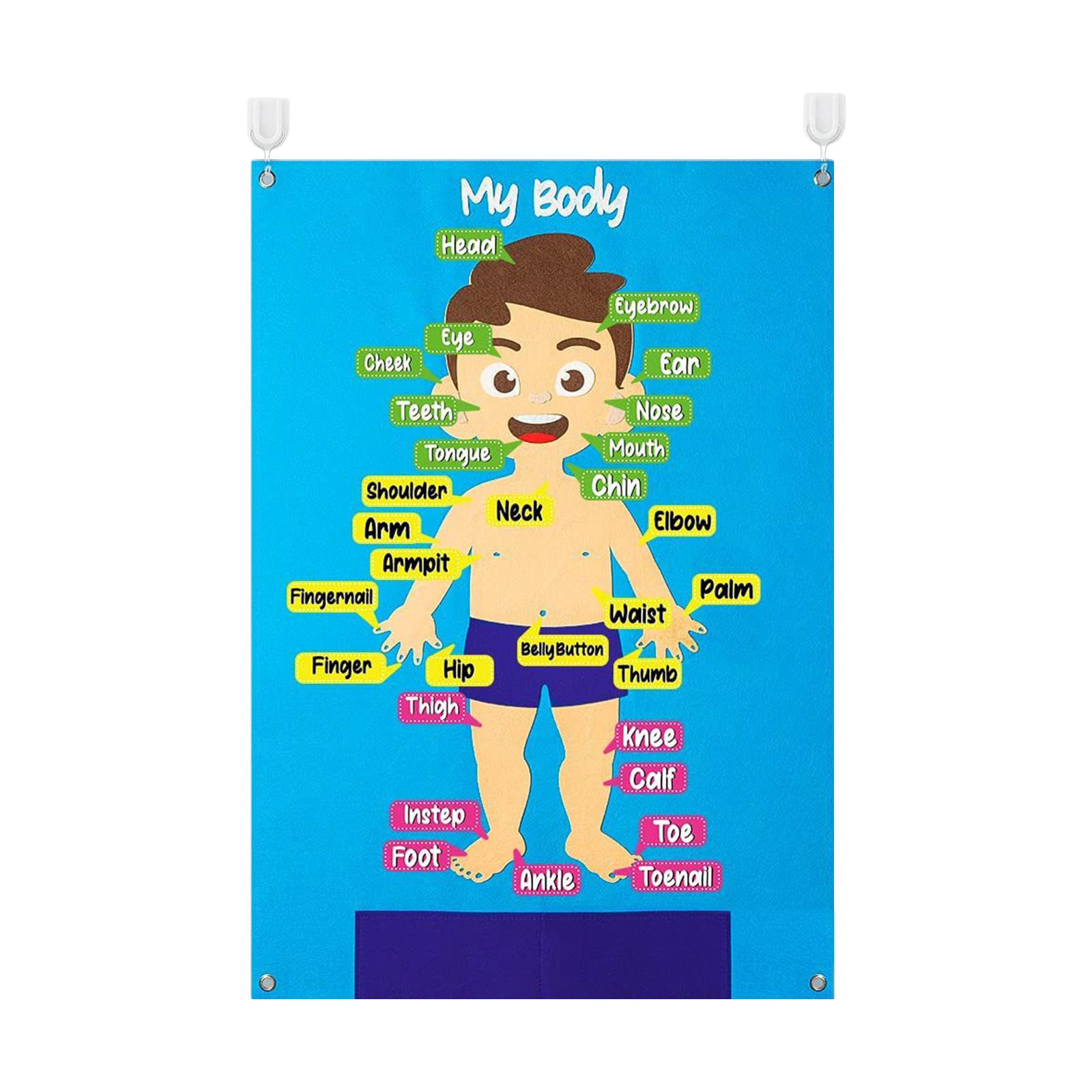 Learning Toy Felt Puzzle Busy Board Colorful Detachable Teaching Aids Body Parts Learning Felt Board Toddlers Preschool Infant
