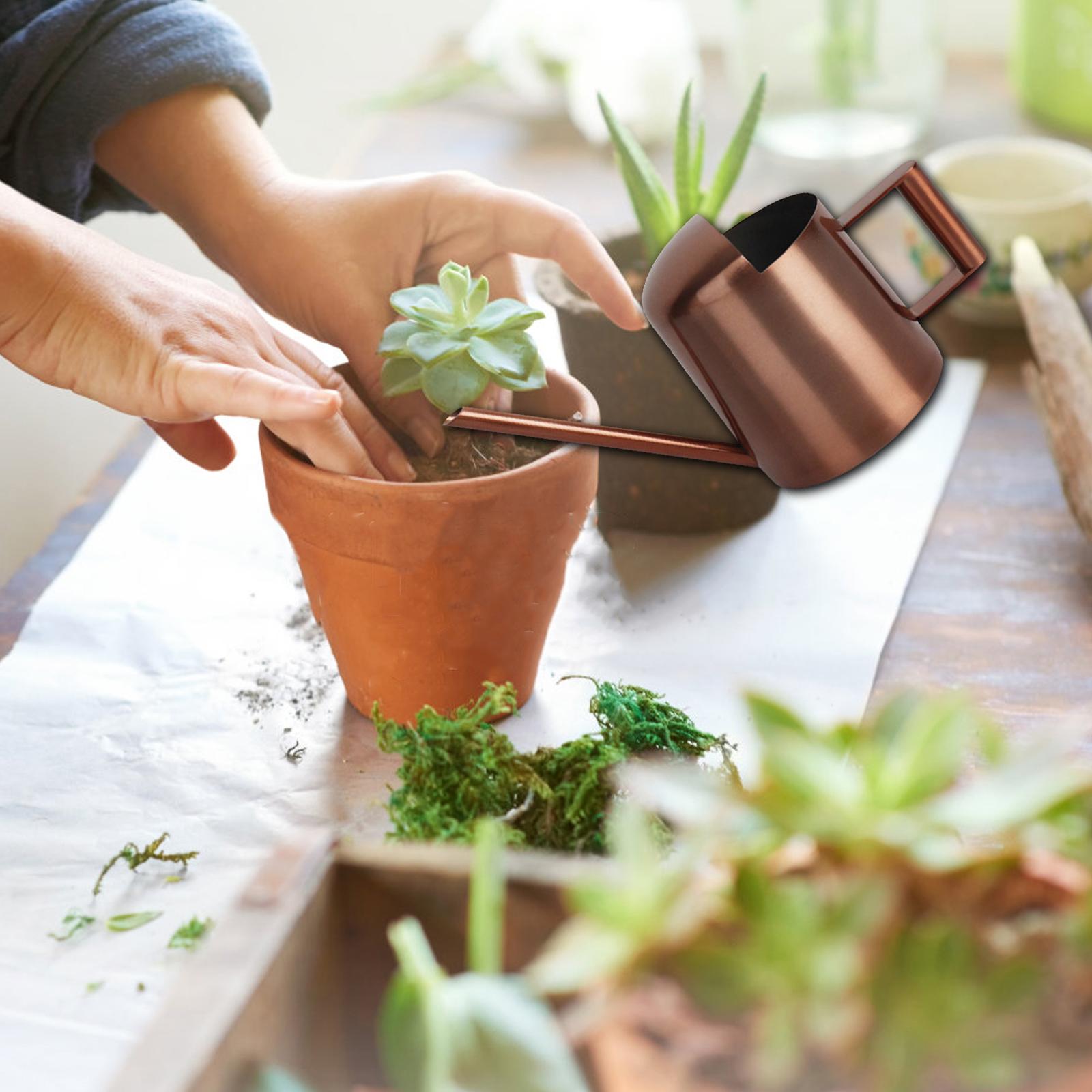 300ml Stainless Steel Watering Can Reusable Comfortable Handle Water Cans for Indoor and Outdoor for Office General Houseplants