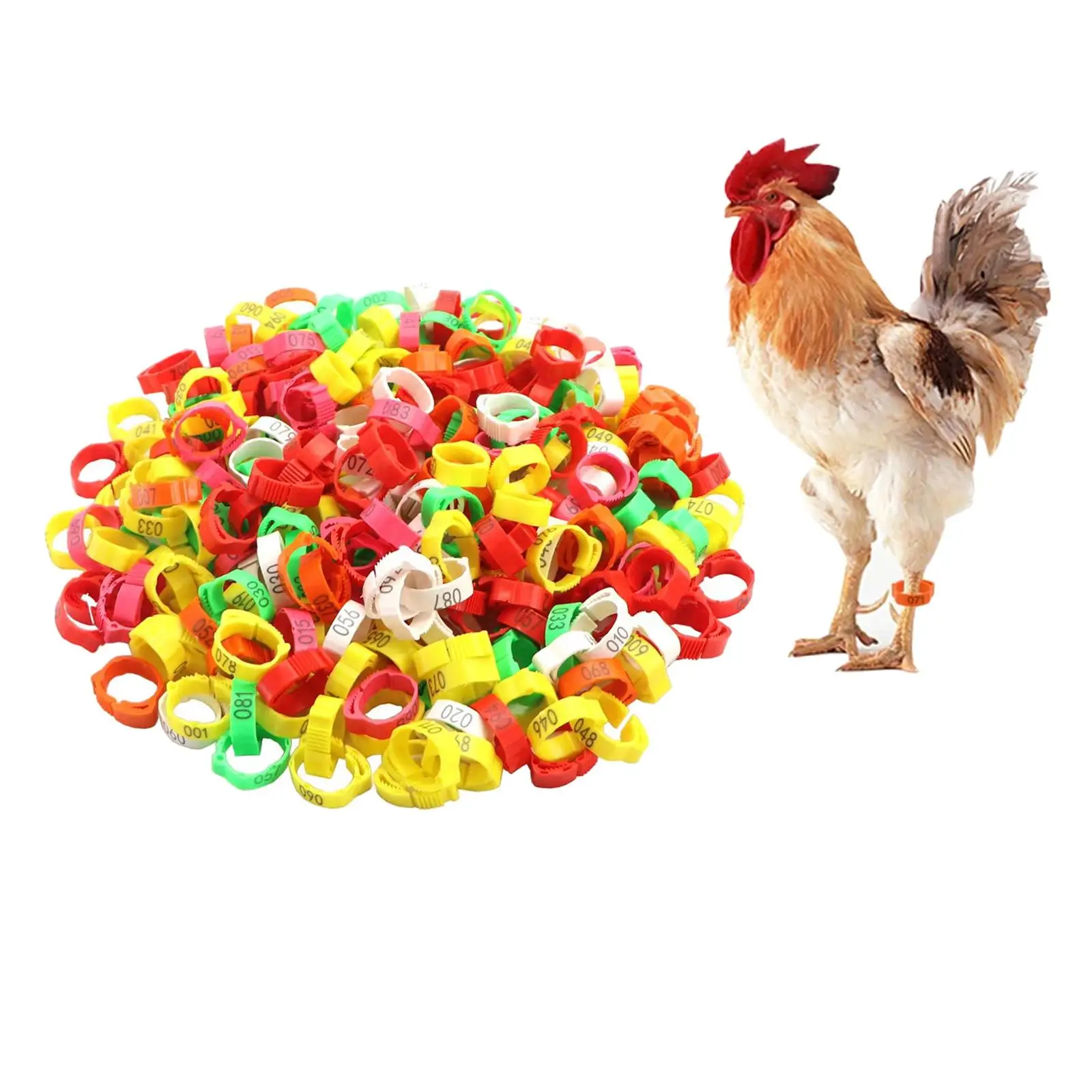 100x Poultry Foot Bands, Poultry Foot Rings, Chicken Identification Band for Birds