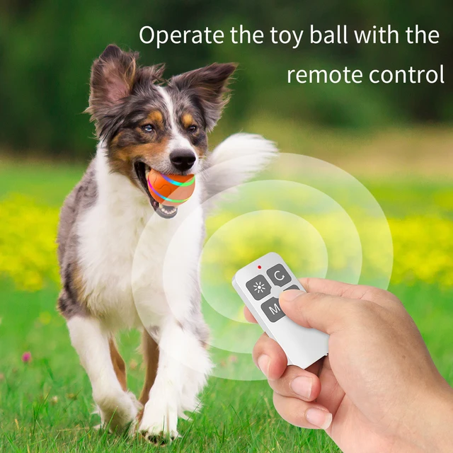 Palline elettriche interattive giocattolo per cani da compagnia per cani di  piccola taglia giocattoli da masticare per cuccioli di gatto Led palle da  salto rotanti telecomando