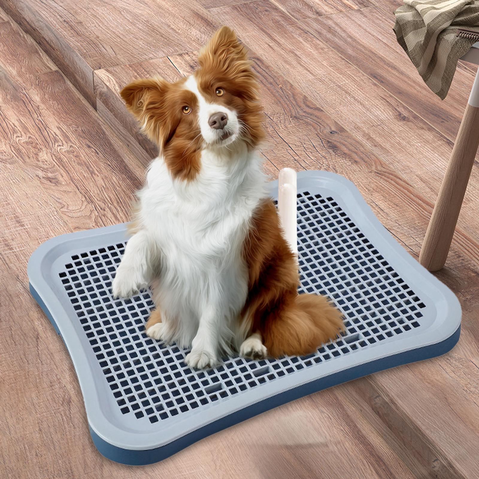 Pet Toilet Easy to Clean Litter Bedding Box Urinal Detachable Mesh Grids Bedpan Pee Pad Holder for Bunny Pets Accessories Kitten