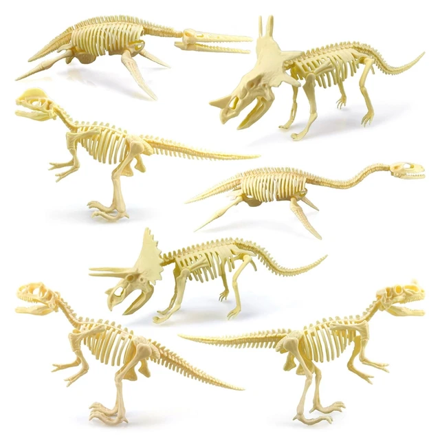 3d Dinossauro Dinossauro Kit de Escavação Fóssil Kit Educacional  Arqueologia Requintado Brinquedo Conjunto Jogo Interativo Jogo Conjunto De  Dinossauro Modelo esqueleto