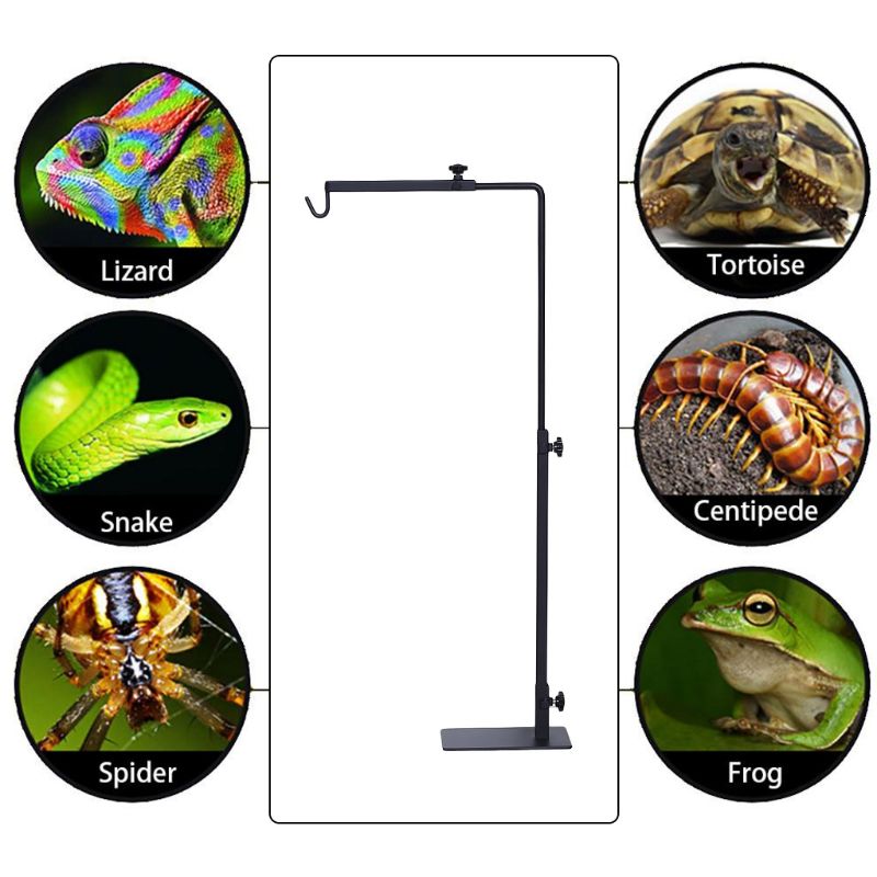 Title 8, Adjustable Bracket Climbing Pet Reptile Lamp St...