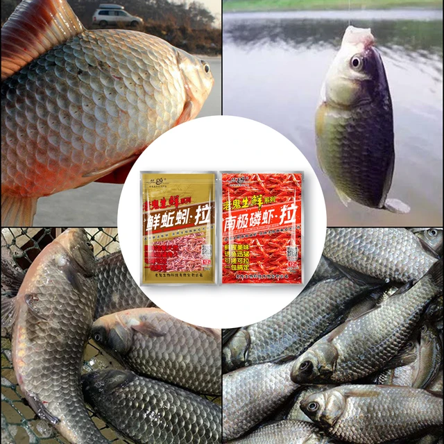 200g Crucian Carp Recipe Fish Dough Bait Carp Fishing Lures Fishing  Additive Powder Baits Feeder Bait Fishing - AliExpress